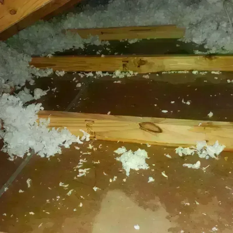 Attic Water Damage in Otsego, MI