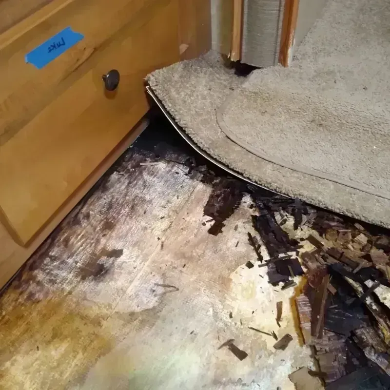 Best Wood Floor Water Damage Service in Otsego, MI